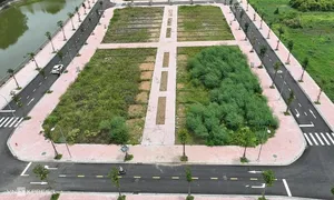 Đất trúng đấu giá huyện Quốc Oai cao nhất 77 triệu đồng một m2 Đất trúng đấu giá huyện Quốc Oai cao nhất 77 triệu đồng một m2