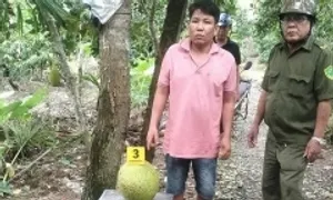 Bị khởi tố vì trộm 2 quả mít